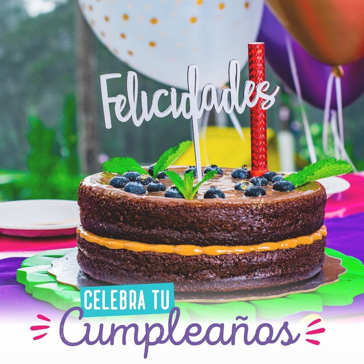 Cumpleaños en Avemaría